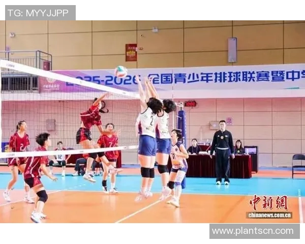 广州排球队的速度之谜：揭开排球巨献的神秘面纱