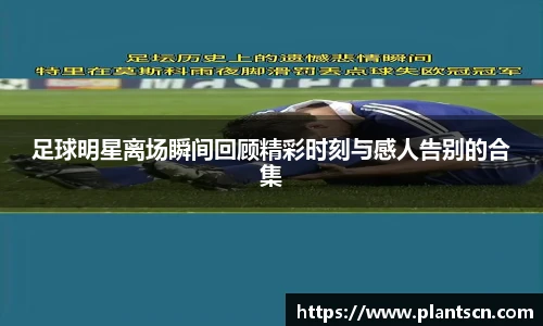 足球明星离场瞬间回顾精彩时刻与感人告别的合集