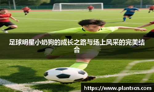 足球明星小奶狗的成长之路与场上风采的完美结合